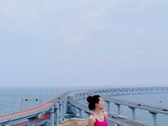 -星海湾跨海大桥