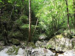 -牛背梁国家森林公园