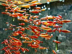 景观位-金满楼(天河中路店)