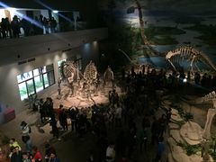 -自贡恐龙博物馆