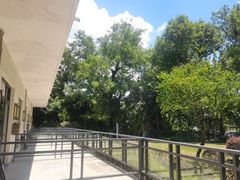 -上海市保健医疗中心