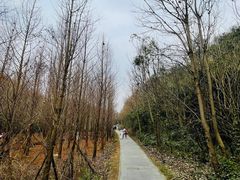 -天河潭旅游度假区
