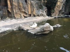 -燕塞湖鸟语林景区