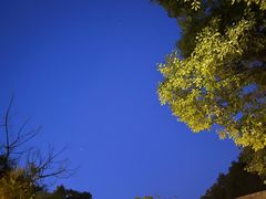 -张家港金凤凰度假村温泉