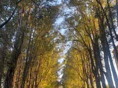 -广东外语外贸大学(白云山校区)