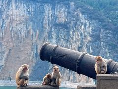 -白帝城·瞿塘峡景区