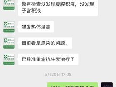 -爱侣宠医·鹦鹉专科·小型哺乳类·异宠专科(灵石路店)