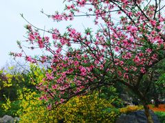 -云龙湖旅游景区