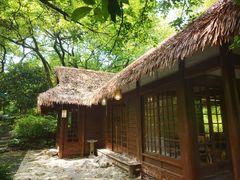 -中国茶叶博物馆(双峰馆区)