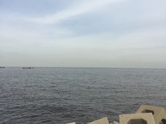 -东疆建设开发纪念公园