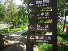 -阳台山自然风景区