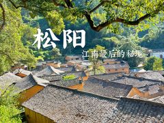 -杨家堂村