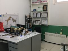 -利又安动物医院··老年病·猫科犬科·中兽医