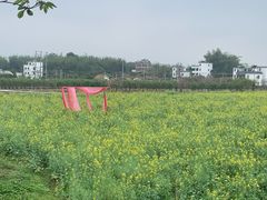 -天适樱花悠乐园