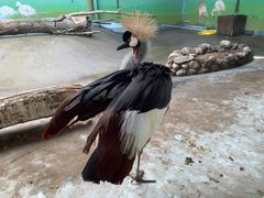 -济南野生动物世界