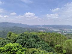 -水濂山森林公园