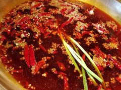 红汤锅底-小龙坎火锅(双林店)