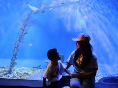 -太平洋海底世界