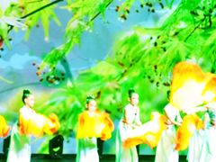 -中国宋庆龄青少年科技文化交流中心