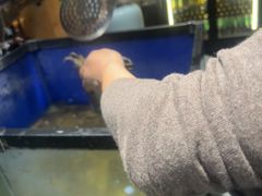 -遇上西雅图多融合海鲜自助餐厅(中房金谊广场店)