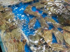 -王四营海鲜市场