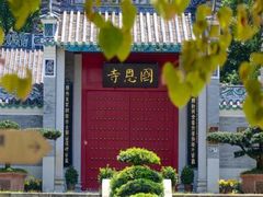 -国恩寺