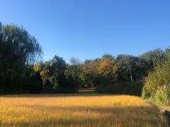 -北坞公园