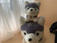 -Husky Go! 哈士奇体验馆·宠物咖啡厅狗咖