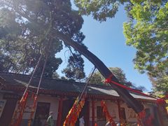 -少华山国家森林公园