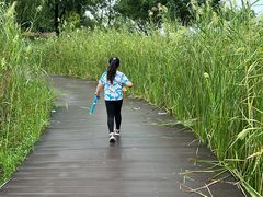 -暨阳湖生态园