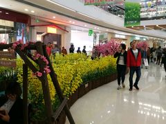 -万达广场(泰安泰山店)