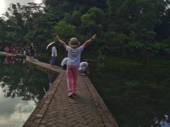 -靖西鹅泉风景区
