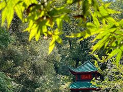 -岳麓山风景名胜区