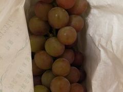 -马陆小张葡萄园农家乐