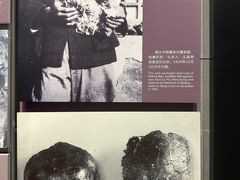 -北京周口店北京人遗址博物馆