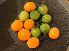 -吴越荣记苏州菜·松鼠桂鱼100%活鱼现做(斜塘老街店)