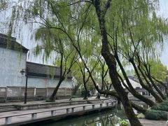 -鲁镇