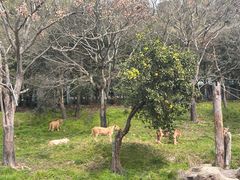 -宁波野生动物园