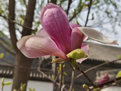 -保定直隶总督署博物馆