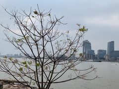 -上海山野camping·户外天幕烧烤·团建拓展营地