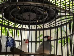 -31号公馆(黄兴广场白果园店)