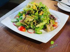 蔬菜沙拉-莫比餐厅(五道口店)