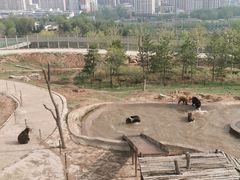 -青藏高原野生动物园