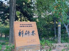 -北京西山国家森林公园