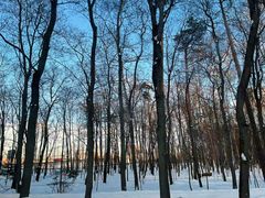 -谢列梅捷沃国际机场