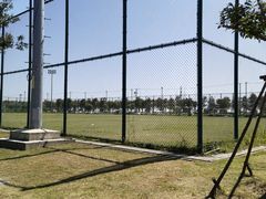 -春花秋色城市公园