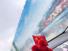 -丁老爷子苏香圆