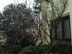 -苏州湾王焰温泉度假酒店