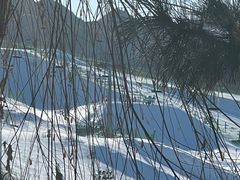 -北京南山滑雪场