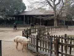-南昌动物园